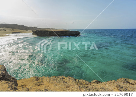 Rock on shore of Aruba 21769017