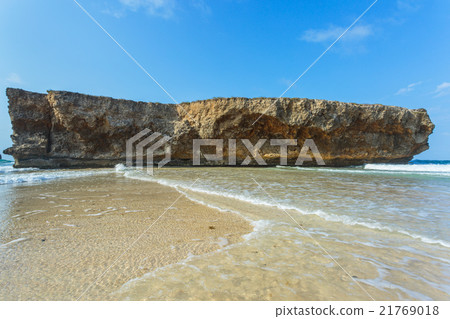 Rock on shore of Aruba 21769018