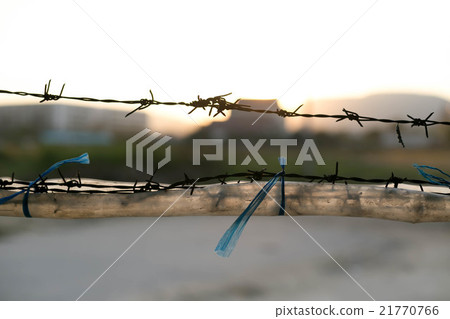 Wooden and old wire fence 21770766