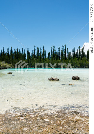 Pischenne Naturrel (New Caledonia, Ille des bains) 21771228