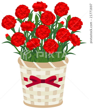Carnation potted plant (red) 21771697