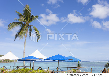 在熱帶土地景觀 在熱帶土地景觀 21772488