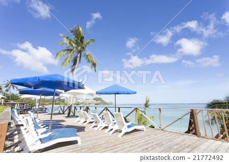 在熱帶土地景觀 在熱帶土地景觀 21772492