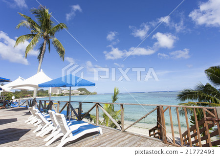 在熱帶土地景觀 21772493