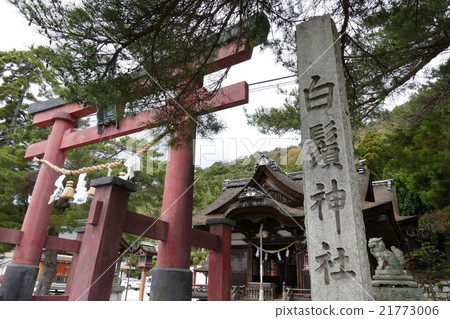 Shirahigi Shrine Torii and main shrine 21773006