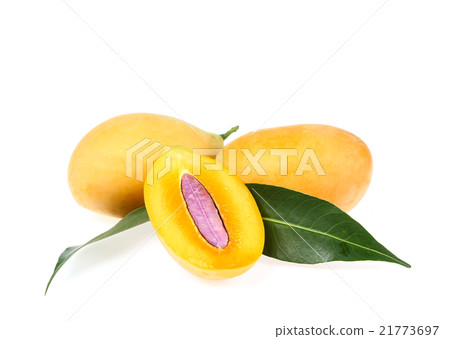 Sweet Marian plum thai fruit isolated on white  21773697