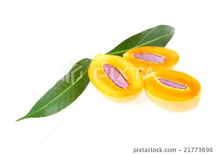 Sweet Marian plum thai fruit isolated on white  21773698