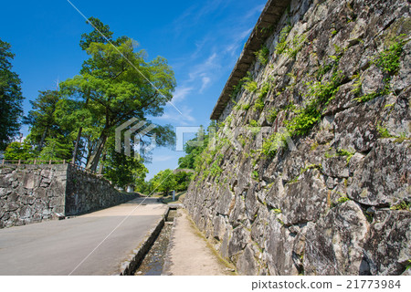 Hitoyoshi Castle Ruins of early summer 21773984