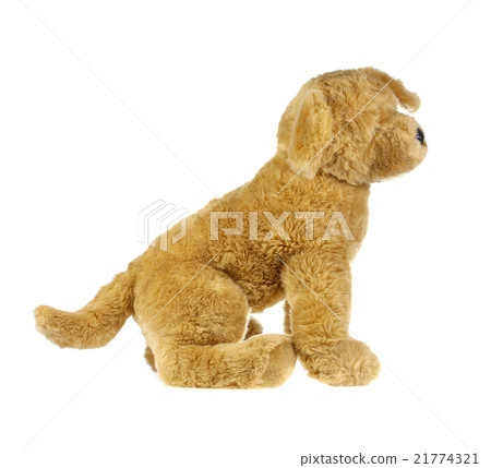 dog doll isolate on white , fluffy toys dog doll isolate on white , fluffy toys 21774321
