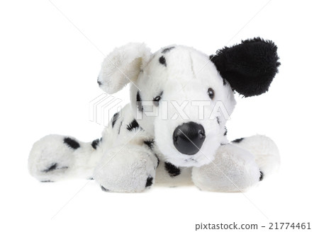 dog doll isolate on white , fluffy toys 21774461