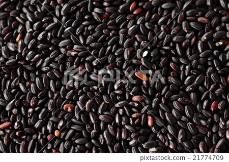 黑米 黑米 21774709