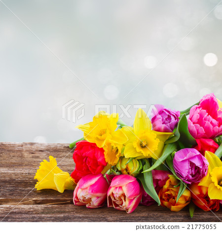 bouquet of   tulips and daffodils 21775055
