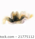 paint watercolour splatter watercolors spotn 21775112