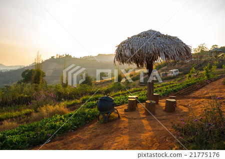 Viewpoint at monjam resort, Chiang Mai 21775176