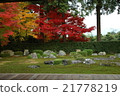 Autumn leaves of Yuen Temple 21778219