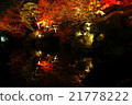 Autumn leaves that move to the mirror surface of the pond 21778222