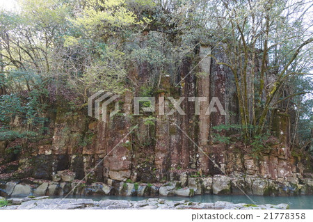 Tatami Ren Tatami Ren 21778358