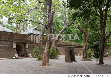 thai temple, tunnel in wat umong, chiang mai 21779184