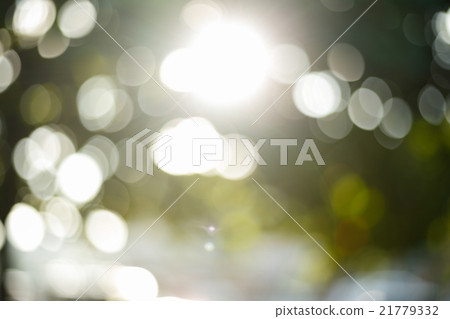 sunlight through leaves on tree, image blur bokeh sunlight through leaves on tree, image blur bokeh 21779332