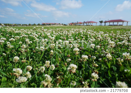 Toyosaki Miura SUN Beach 21779708