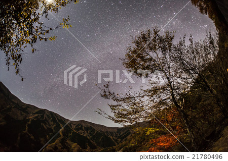 Starry Sky of Namego Valley 21780496