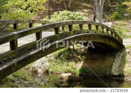 太鼓橋 太鼓橋 21783030