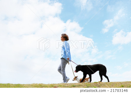 Young woman fun dancing with a dog Young woman fun dancing with a dog 21783146