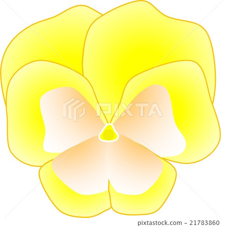 黃色三色堇 21783860