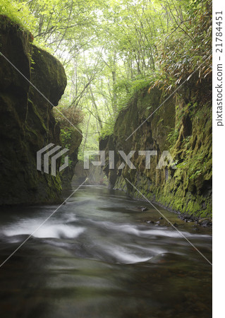 Tarumae Gallo 21784451