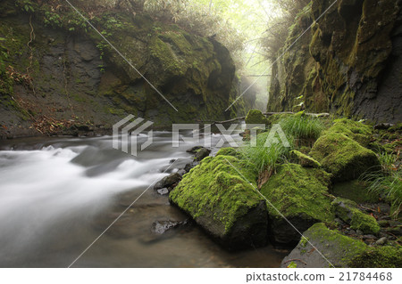 Tarumae Gallo 21784468