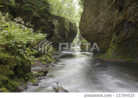 Tarumae Gallo 21784525