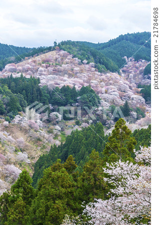 First glance at Senbonzakura 21784698