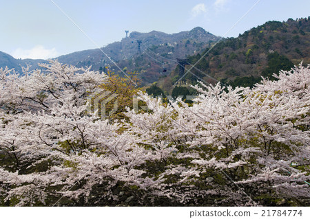 Biwako Valley Biwako Valley 21784774