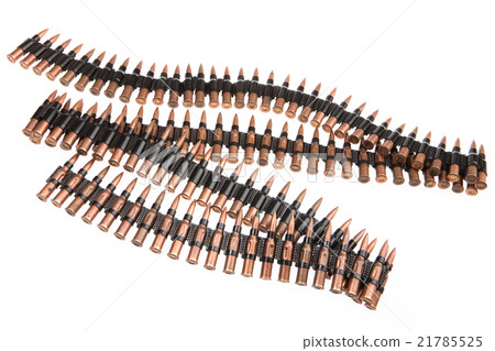 Cartridge Belt Cartridge Belt 21785525