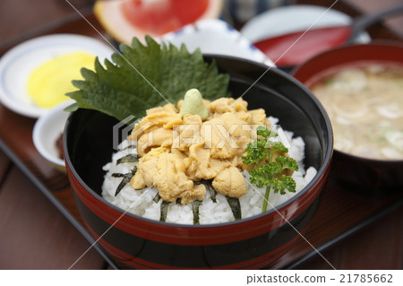 Sea urchin bowl 21785662