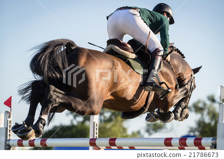 Horse Jumping, Equestrian Events Horse Jumping, Equestrian Events 21786673