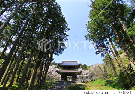 Kasugayama Renji temple 21786781