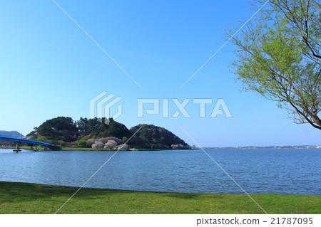 Lake Sankei公園的櫻花和油菜花 21787095