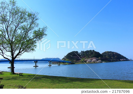 Lake Sankei公園的櫻花和油菜花 21787096