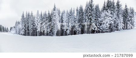 mountain landscapes and panoramas of snow-capped mountain landscapes and panoramas of snow-capped 21787099