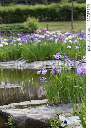 Nagasawa-ji Temple flower garden Nagasawa-ji Temple flower garden 21787500