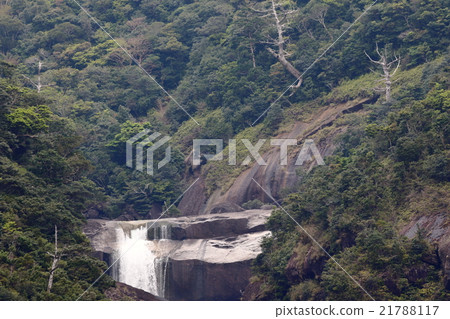 Yakushima 21788117