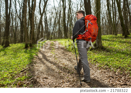 Male hiker looking to the side walking in forest Male hiker looking to the side walking in forest 21788322