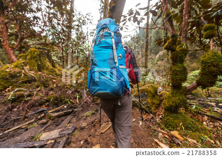 Hike in Nepal jungle Hike in Nepal jungle 21788358