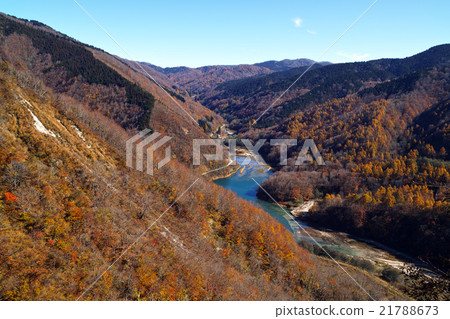 Autumn leaves nature Autumn leaves nature 21788673