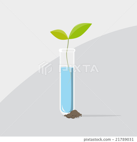Last plant from a test tube Last plant from a test tube 21789031