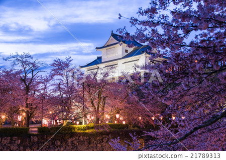 岡山Tsuyama城堡晚上風景城堡和櫻花在晚上 21789313