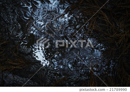 Trekking in the rain 21789990