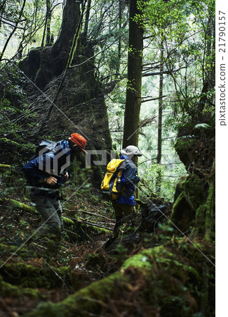 Men walking in the forest 21790157