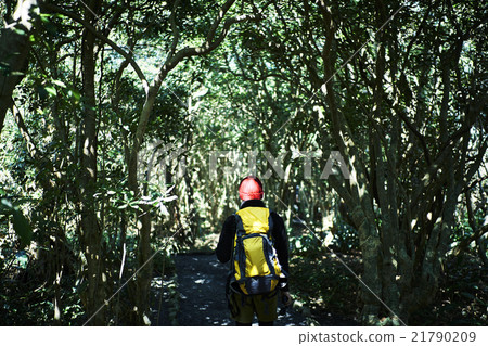 Men who adventure nature 21790209